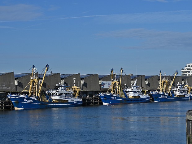 26-10-2024 Zuiderhavenhoofd