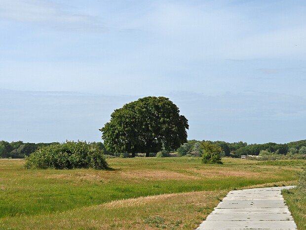 26-05-2025 Lentevreugd