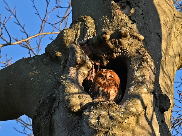 26-12-2025 Landgoed Oosterbeek