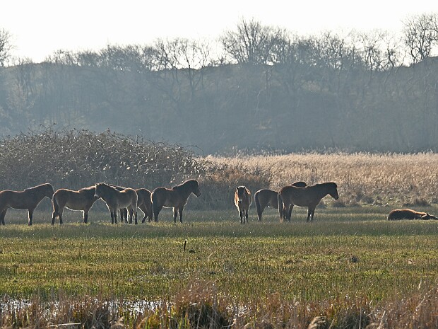 04-03-2026 Lentevreugd