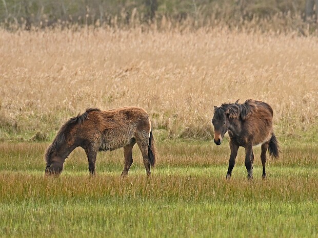 04-04-2026 Lentevreugd