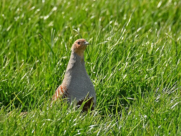 08-04-2026 Polderrondje