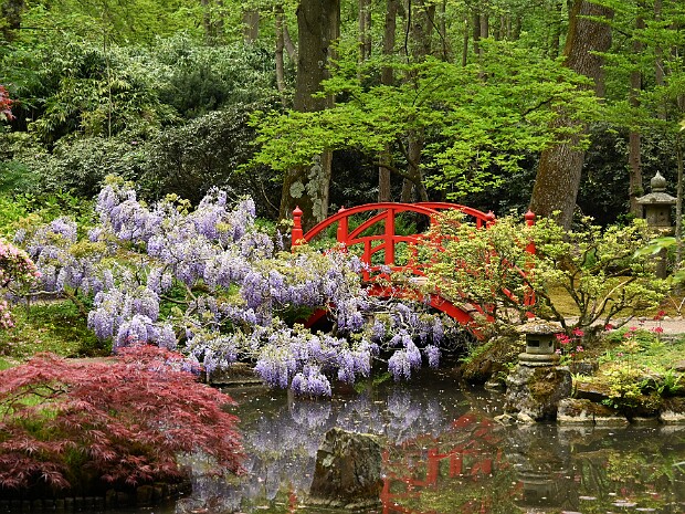08-05-2026 Clingendael