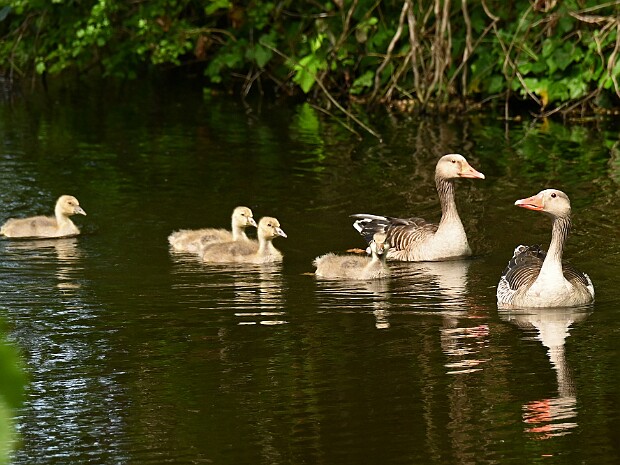 21-05-2026 Landgoed Duivenvoorde