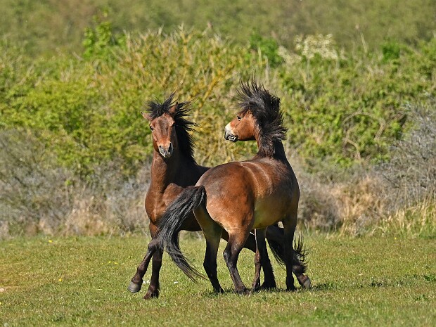 28-04-2026 Lentevreugd