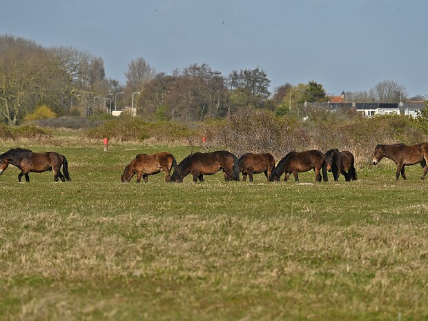 31-03-2026 Lentevreugd
